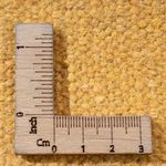 Dywan Kelim - modny - 200 x 140 cm - wielokolorowy