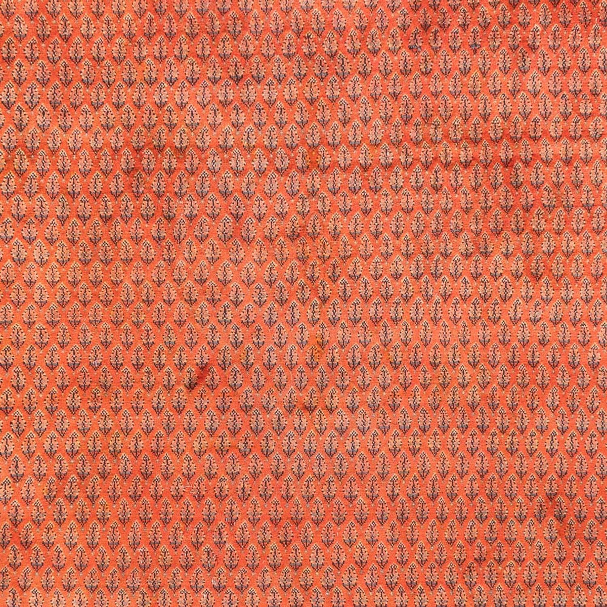 Dywan perski - Mir - 325 x 225 cm - jasna czerwień