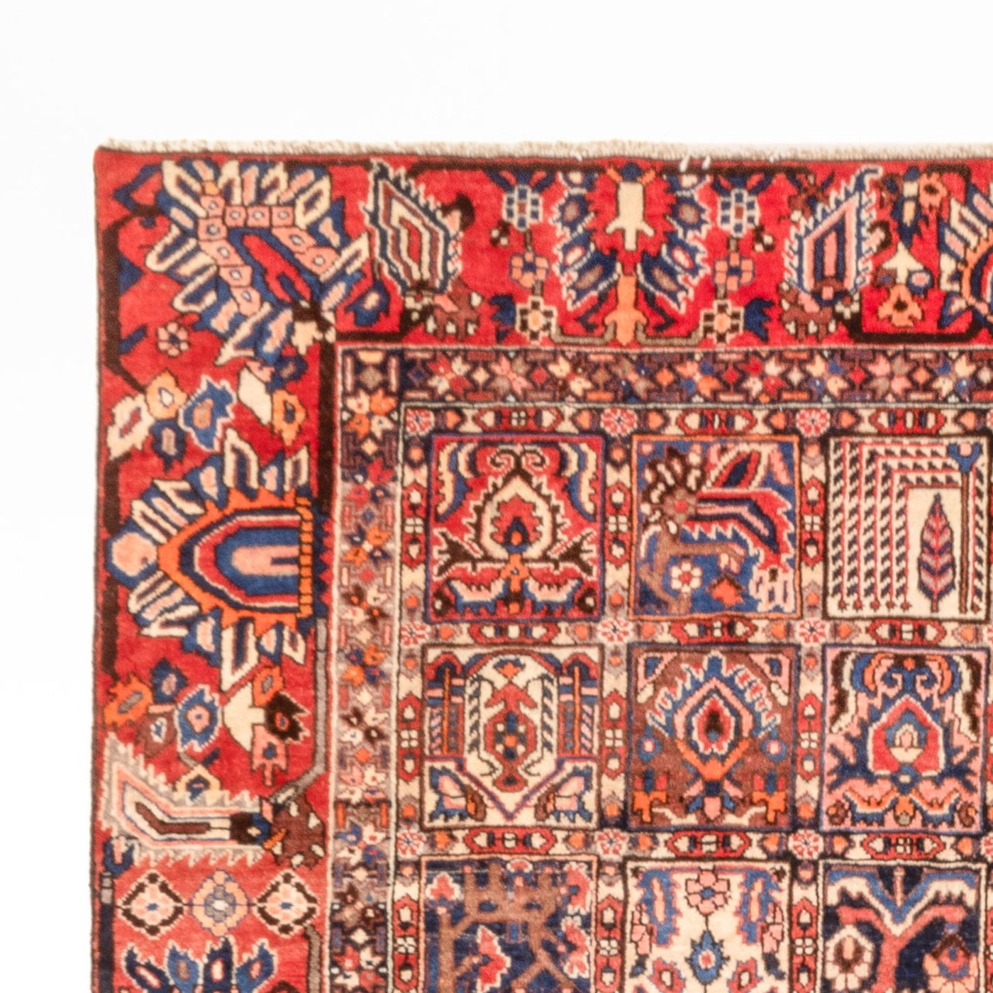 Bakhtiari Dywan 340x250cm - Dywan perski