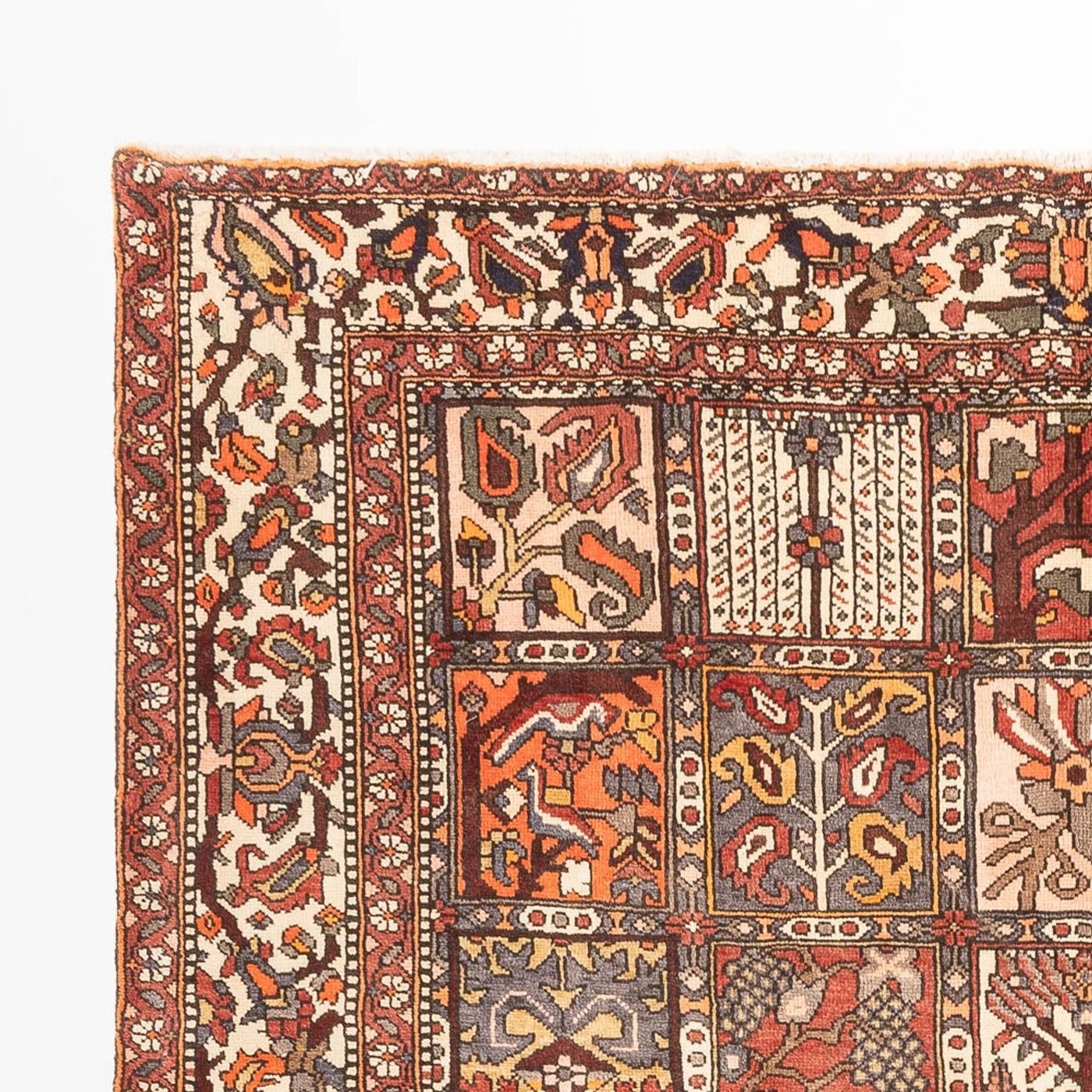 Bakhtiari Dywan 302x210cm - Dywan perski