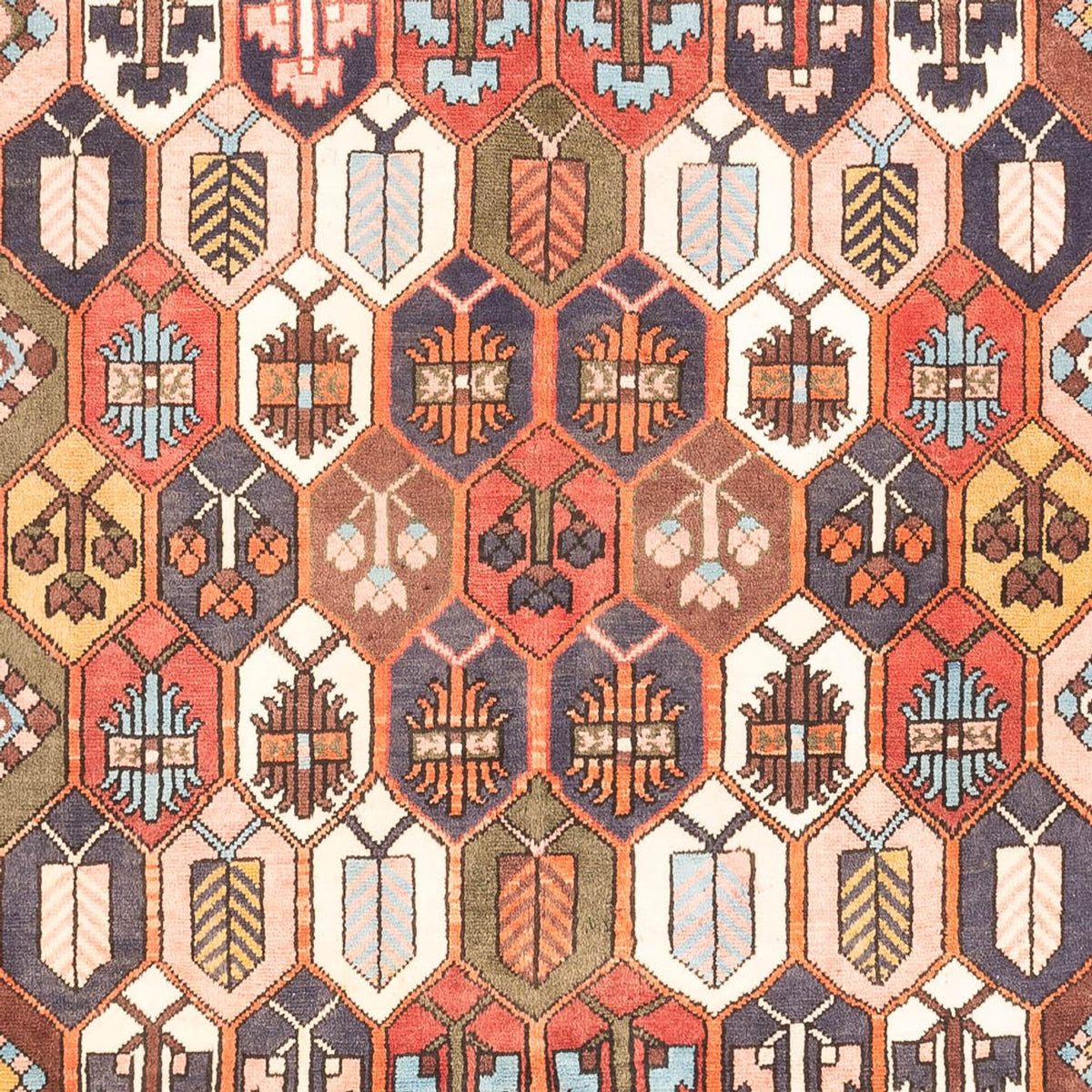 Perski dywan - Nomadyczny - 305 x 215 cm - wielokolorowy