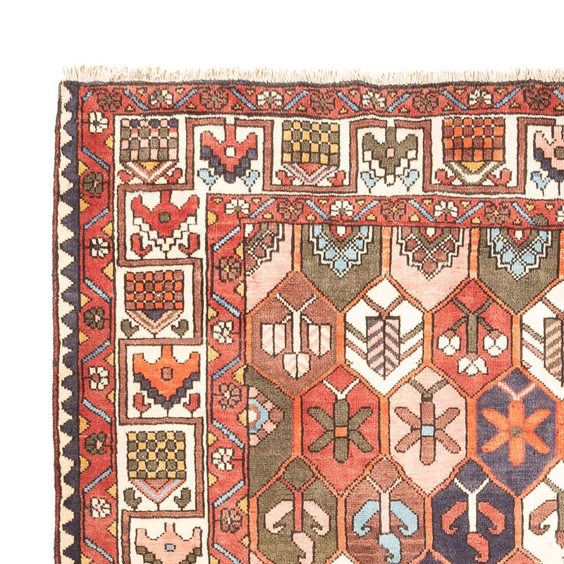 Perski dywan - Nomadyczny - 305 x 215 cm - wielokolorowy