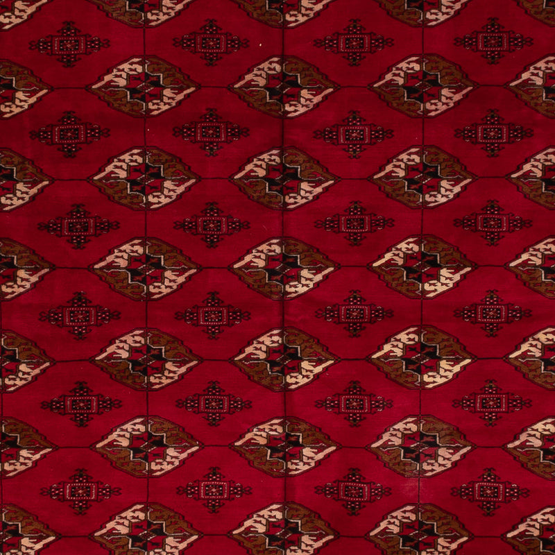 Afgański dywan - Bukhara - 382 x 300 cm - czerwony