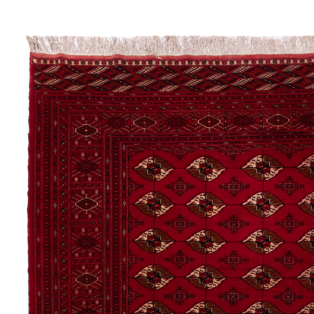 Bukhara Dywan 382x300cm - Dywan orientalny