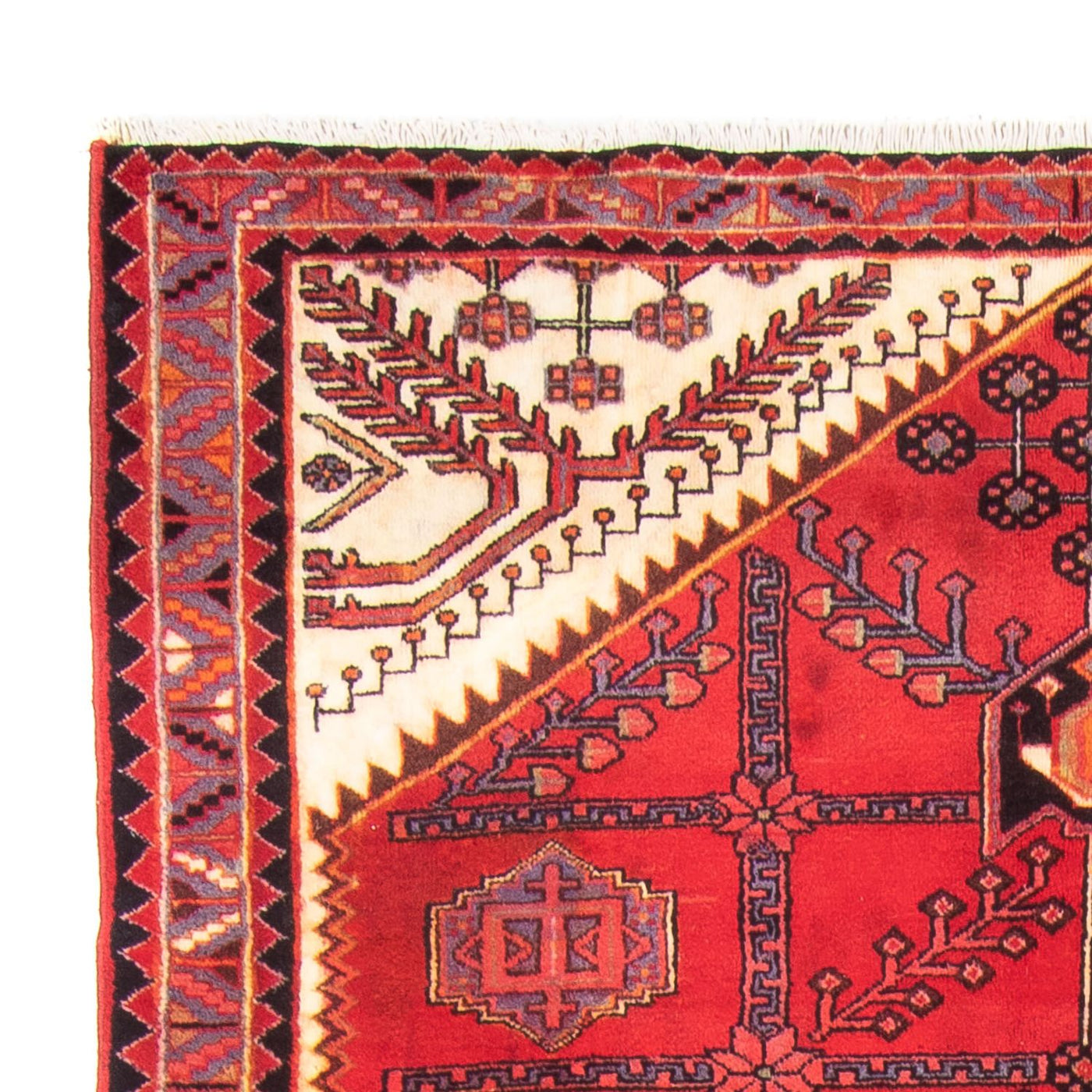 Hosseinabad Dywan 317x156cm - Dywan perski