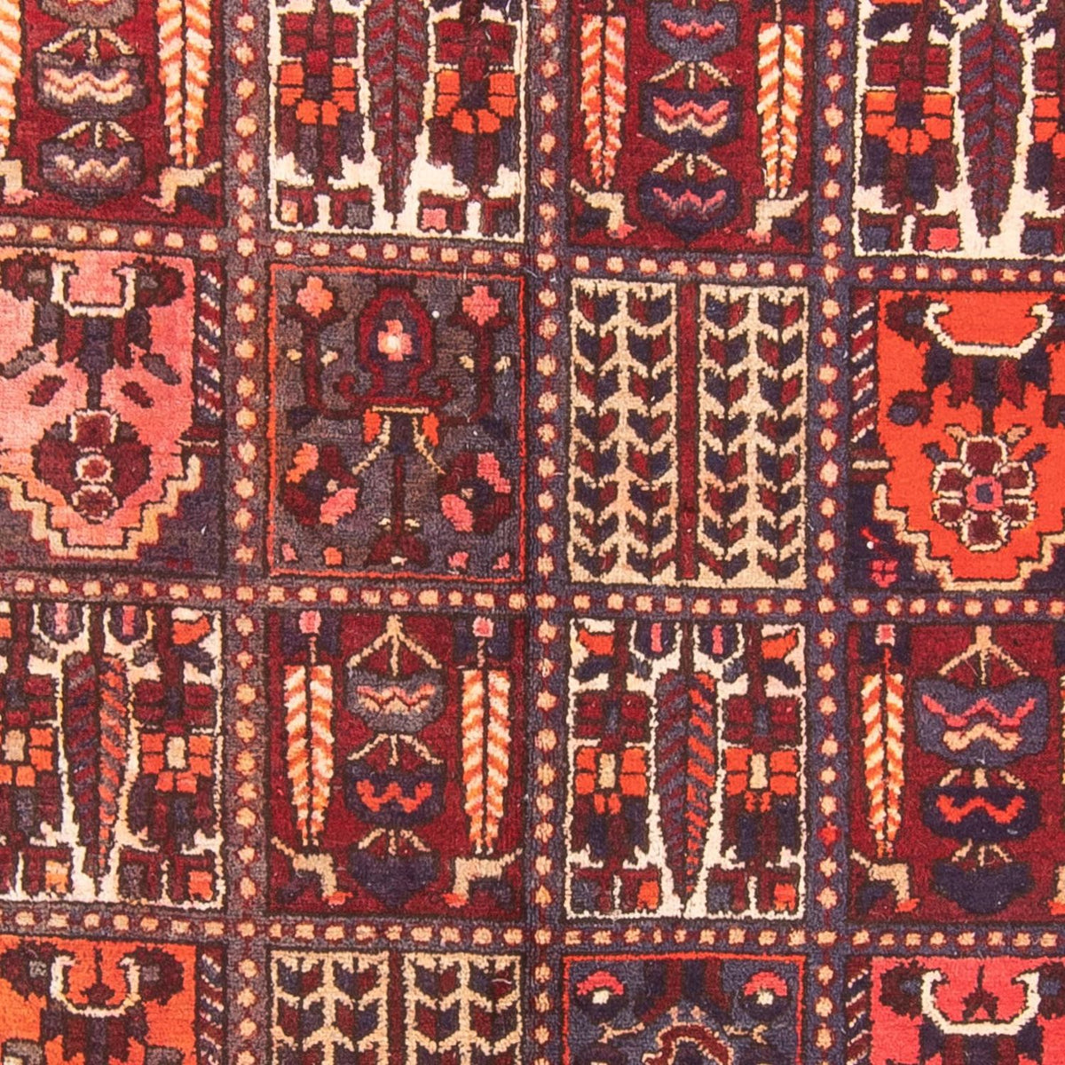 Biegacz Perski dywan - Nomadyczny - 290 x 158 cm - wielokolorowy