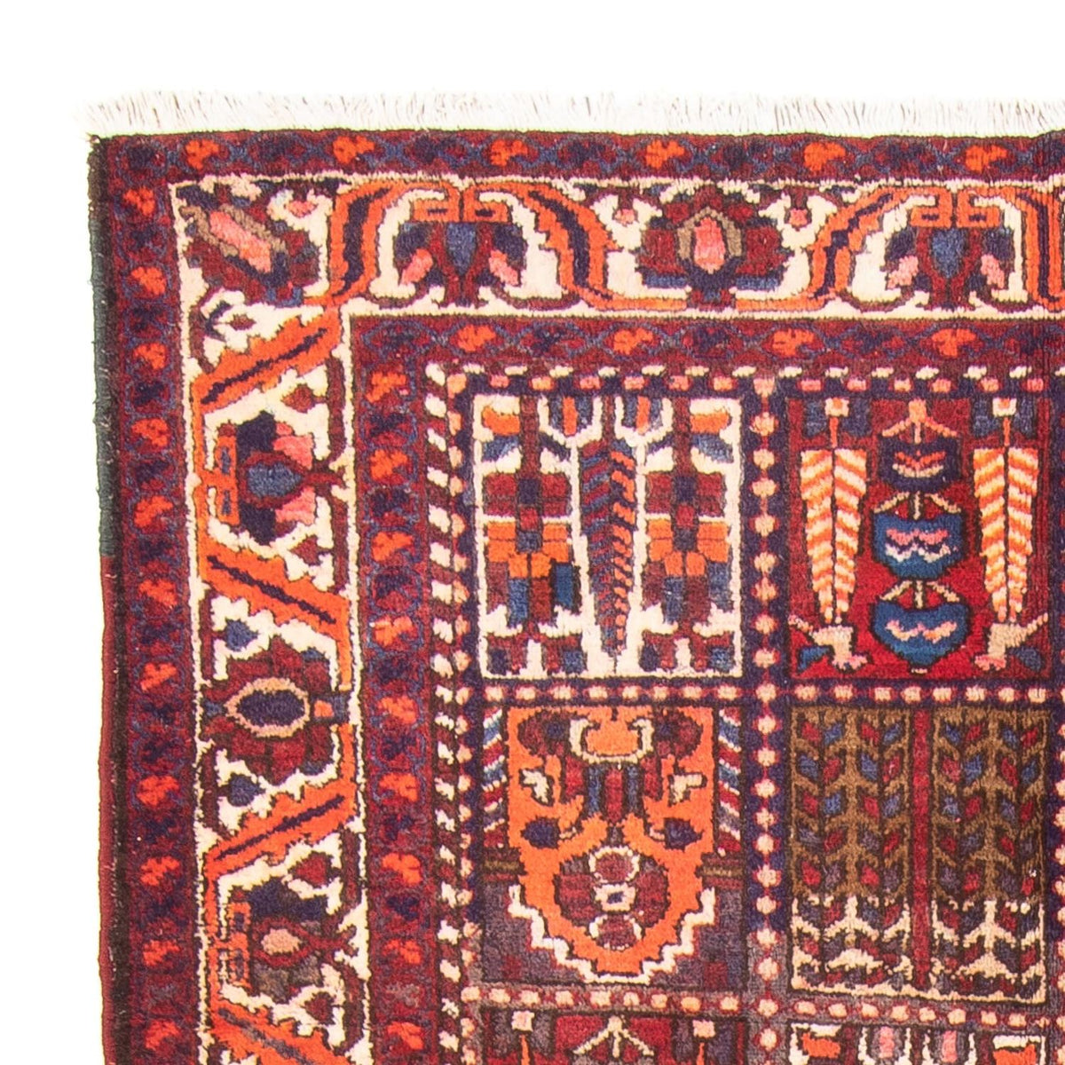 Biegacz Perski dywan - Nomadyczny - 290 x 158 cm - wielokolorowy