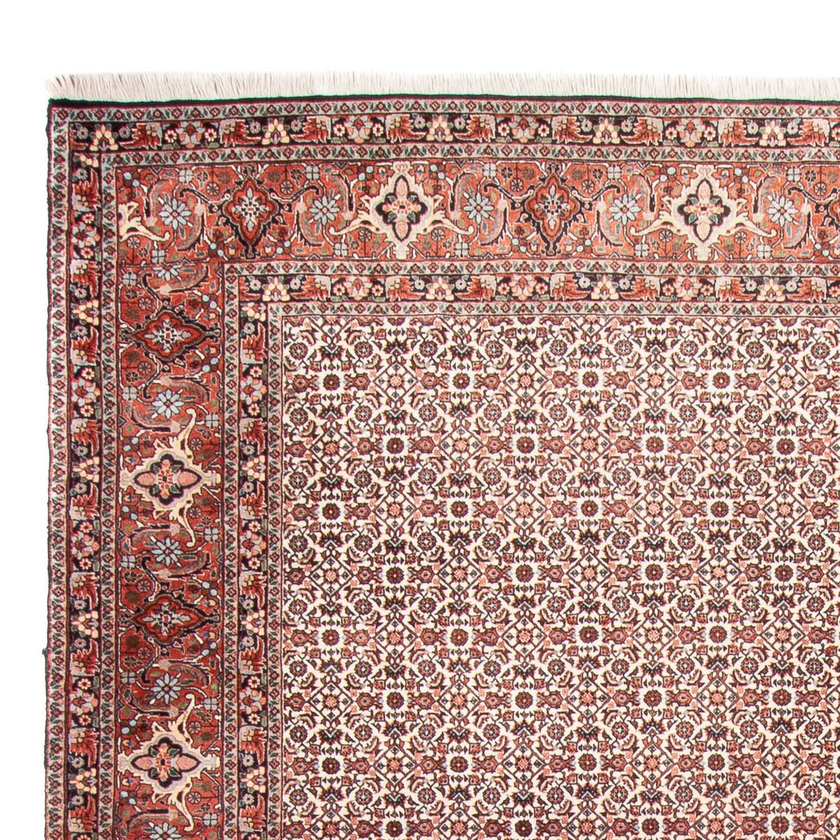 Bidjar Dywan 250x340cm - Dywan perski