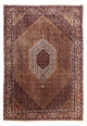Dywan perski - Bijar - 305 x 210 cm - brązowy