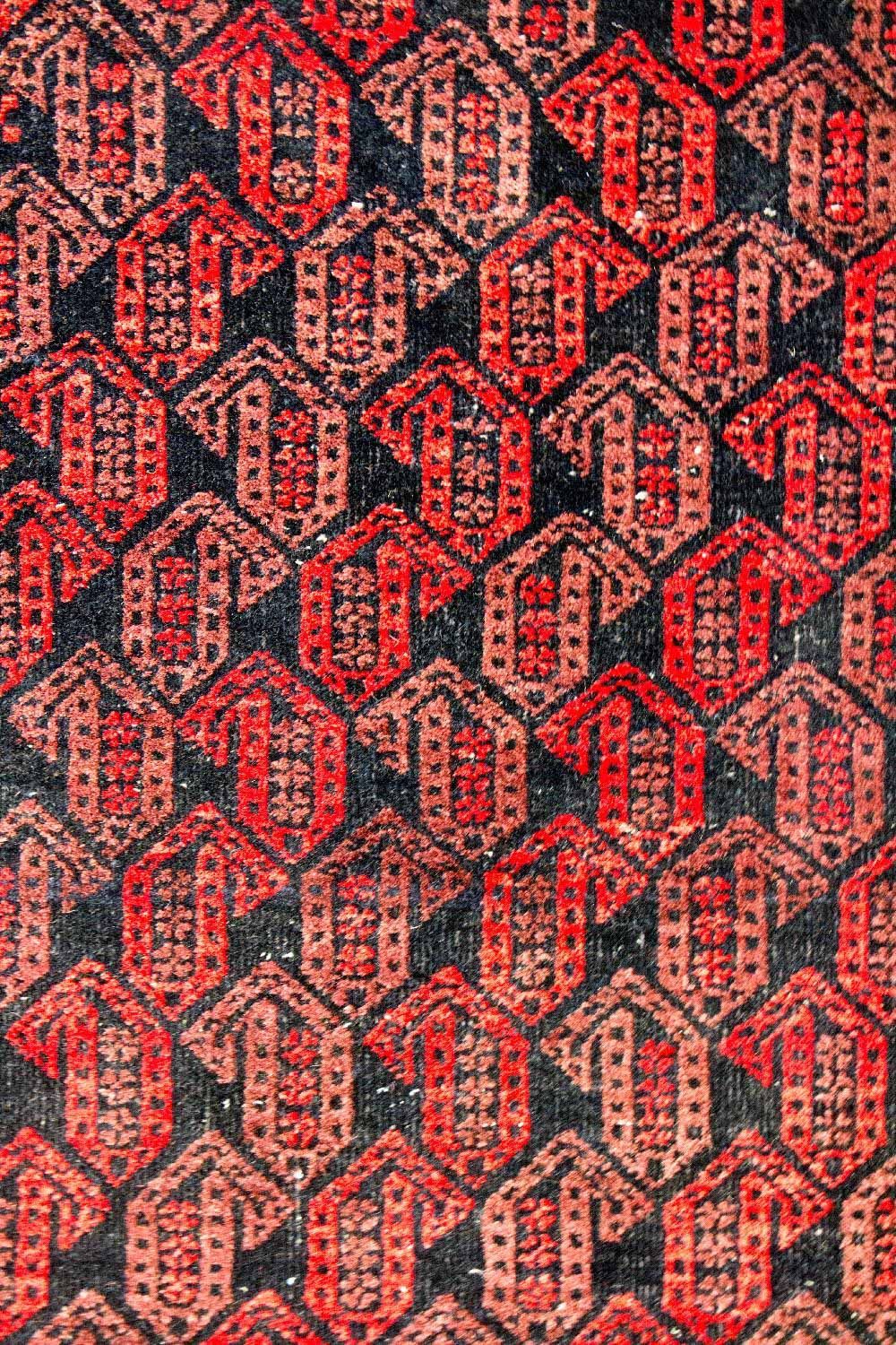 Biegacz Dywan beludżycki - 215 x 106 cm - wielokolorowy