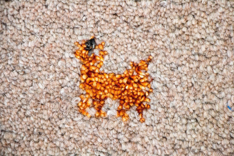 Dywan Gabbeh - Indus - 200 x 140 cm - brązowy