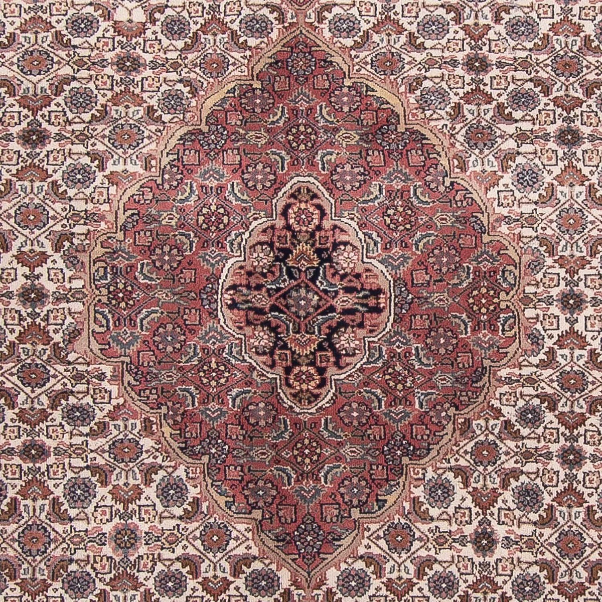Orientalny dywan - Bijar - Indus - 303 x 245 cm - beżowy