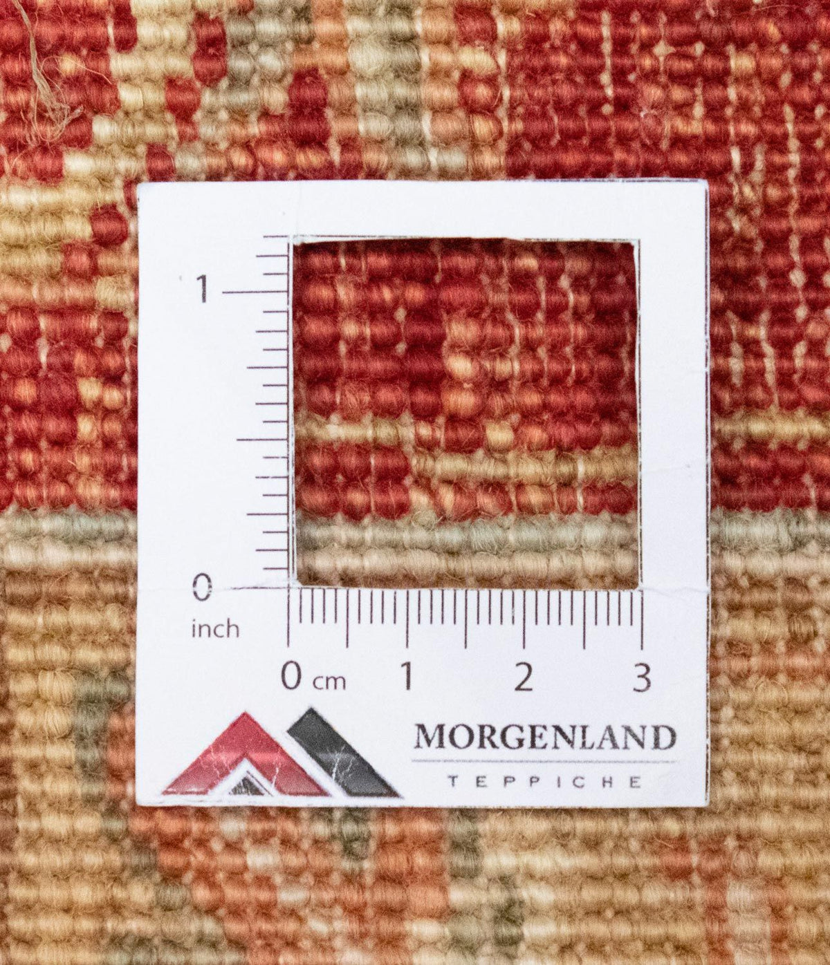 Dywan Zieglera - 302 x 252 cm - beżowy