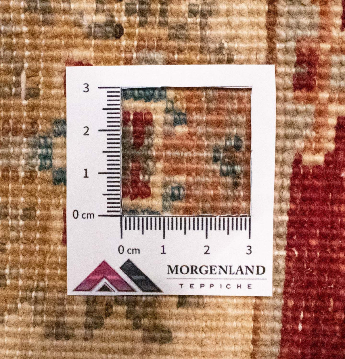 Dywan Zieglera - 94 x 61 cm - czerwony