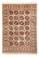 Ariana Dywan 247x175cm - Dywan orientalny