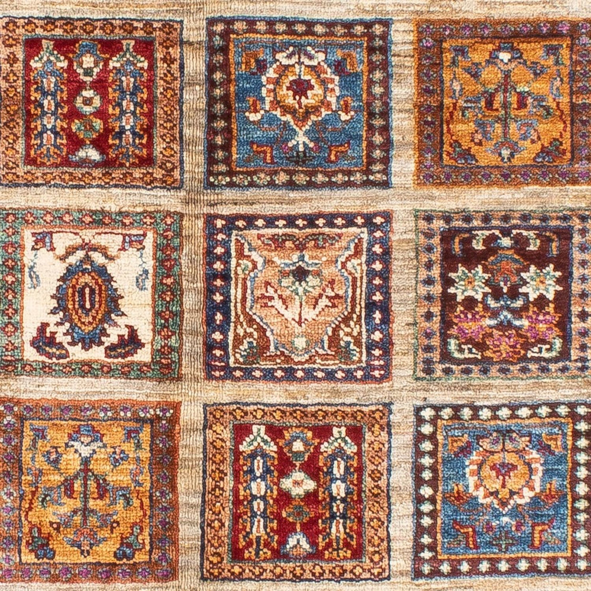 Dywan Ziegler - Ariana - 178 x 123 cm - wielokolorowy