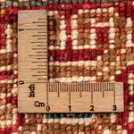 Dywan Ziegler - Ariana - 60 x 40 cm - wielokolorowy