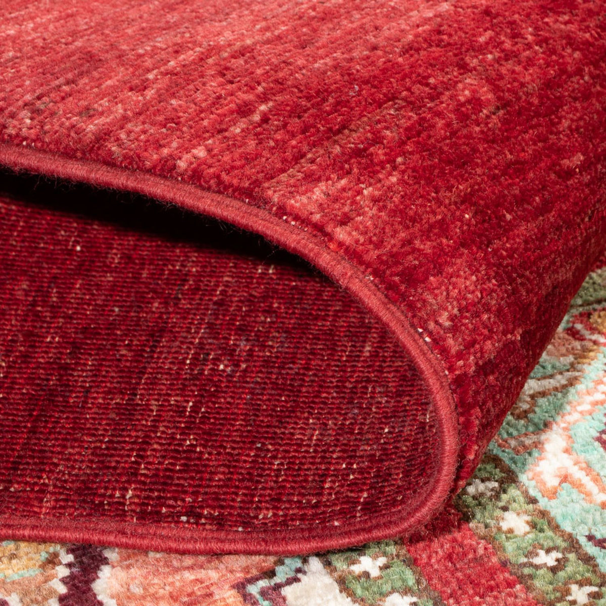 Dywan Ziegler - Bakhtiari - 207 x 155 cm - wielokolorowy