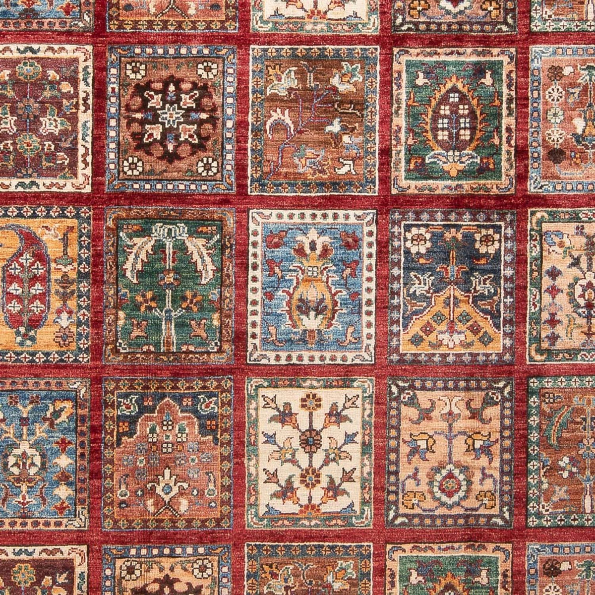 Dywan Ziegler - Bakhtiari - 250 x 175 cm - wielokolorowy