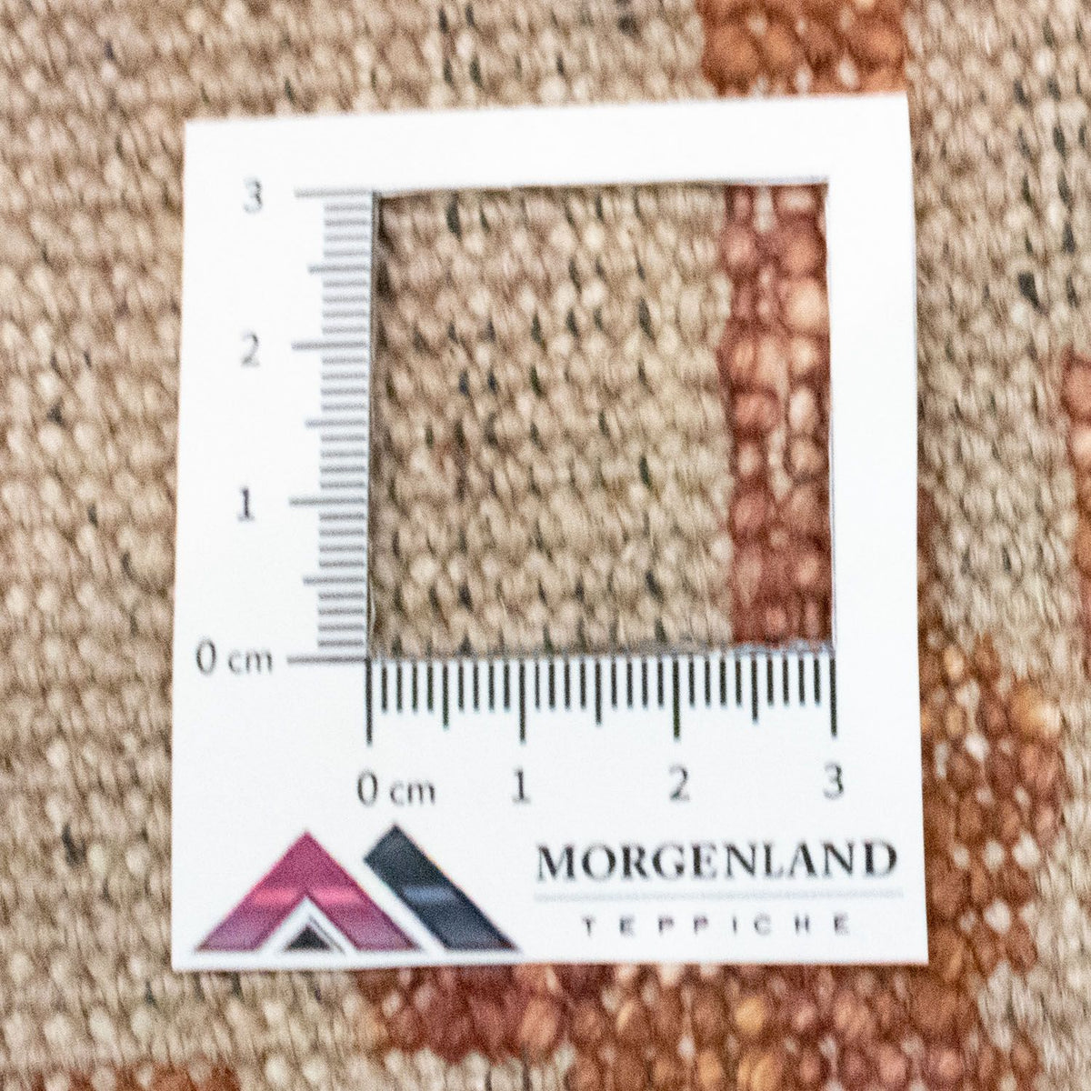 Designerski dywan - 244 x 170 cm - brązowy