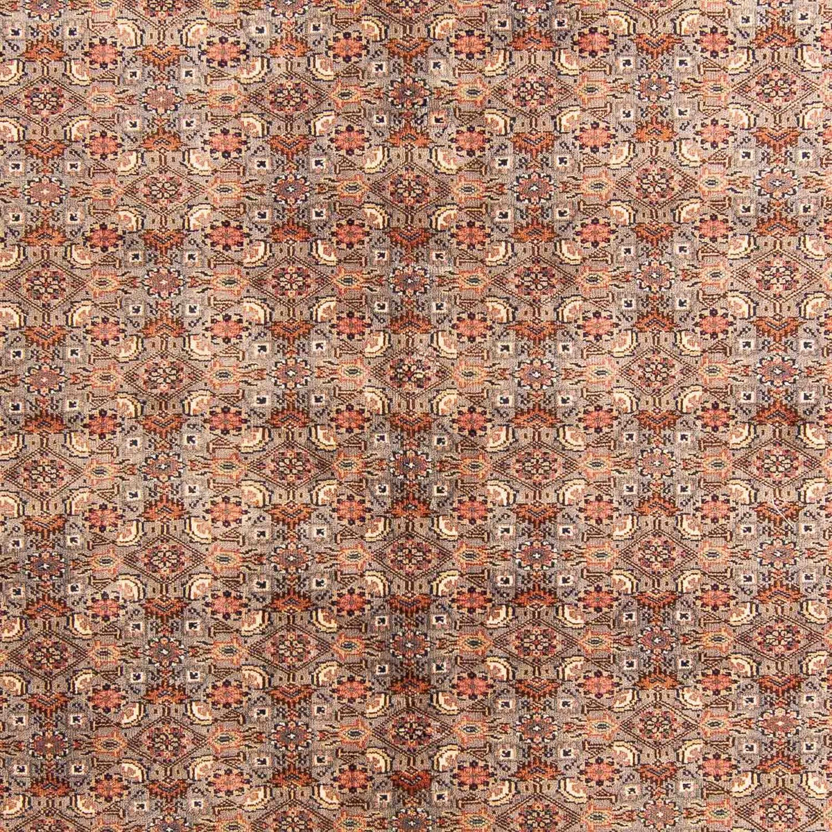 Orientalny dywan - Bijar - Indus - 233 x 181 cm - wielokolorowy