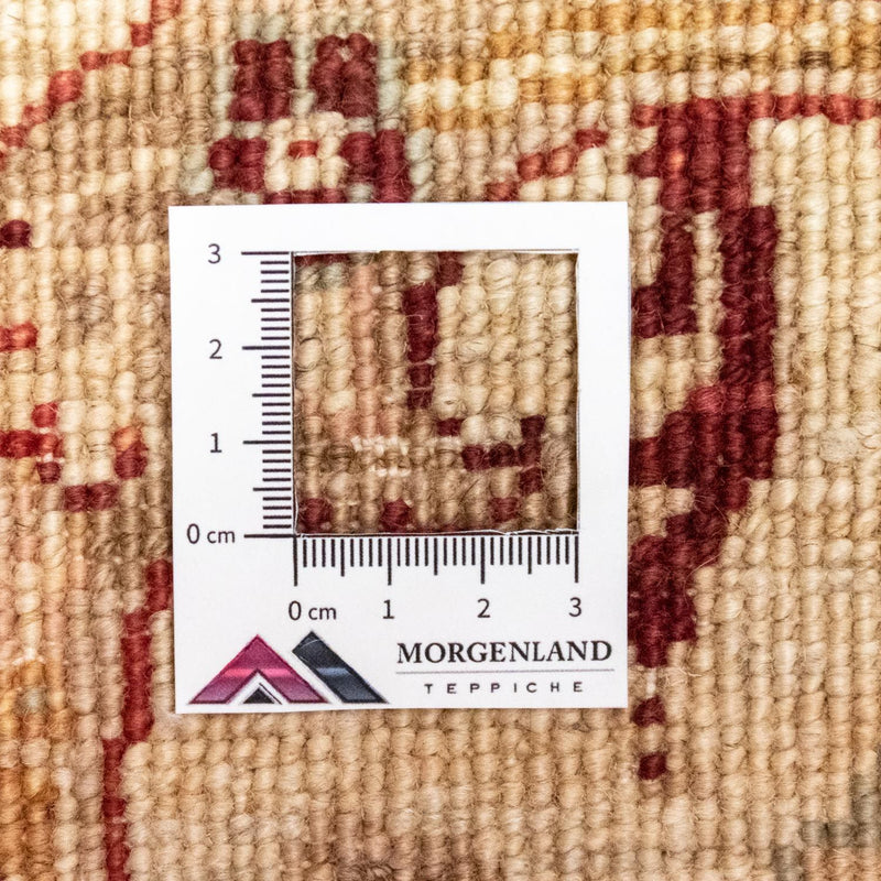 Dywan Zieglera - 247 x 166 cm - czerwony