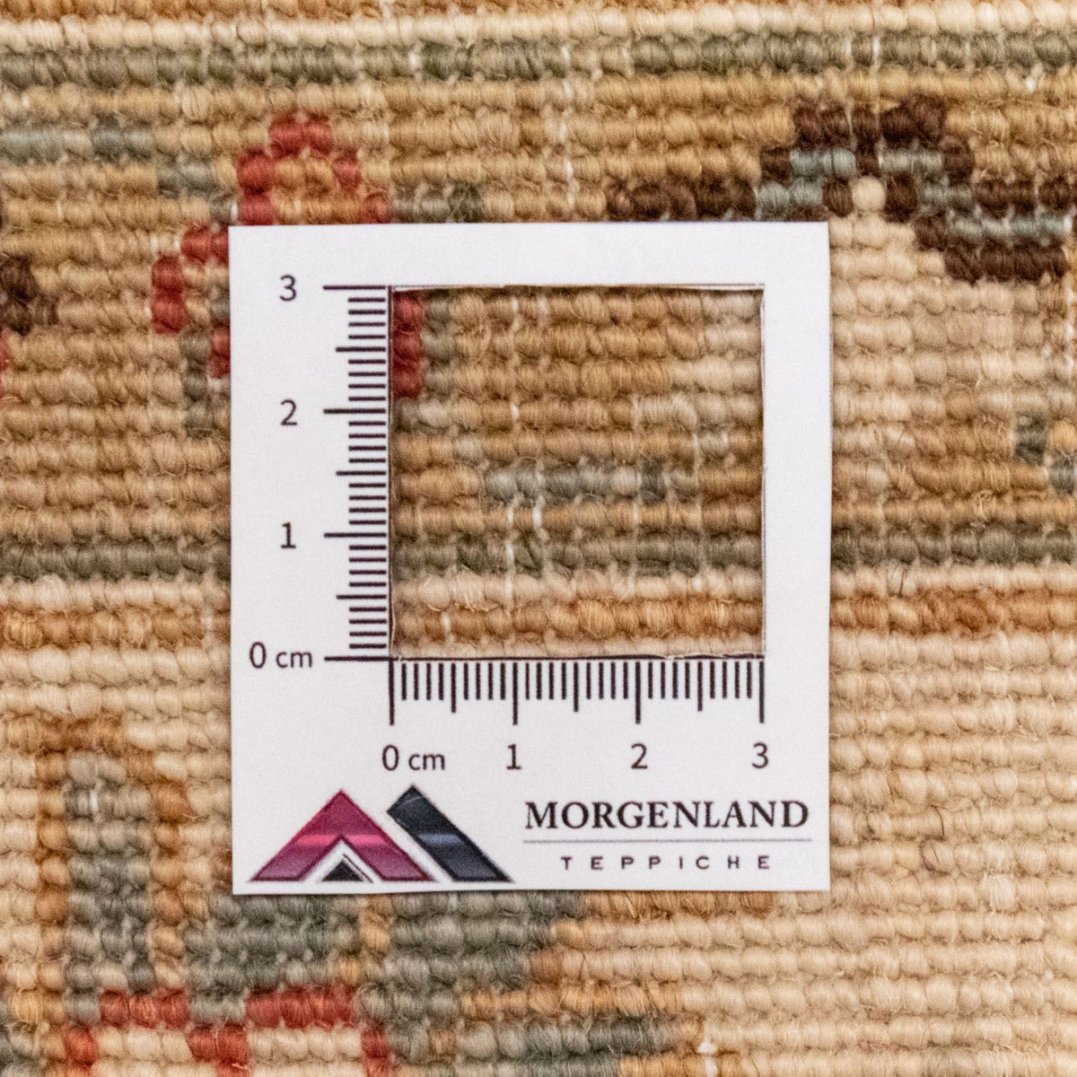 Dywan Zieglera - 248 x 180 cm - beżowy