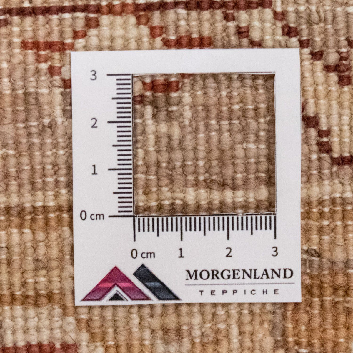 Dywan Zieglera - 260 x 175 cm - beżowy