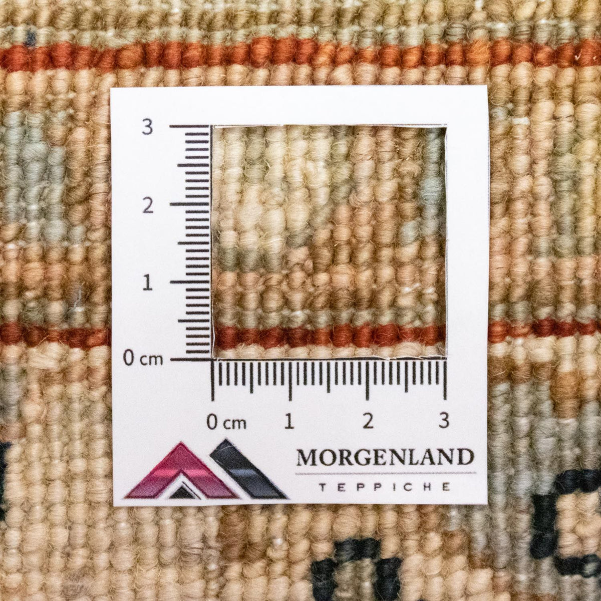 Dywan Zieglera - 258 x 173 cm - niebieski