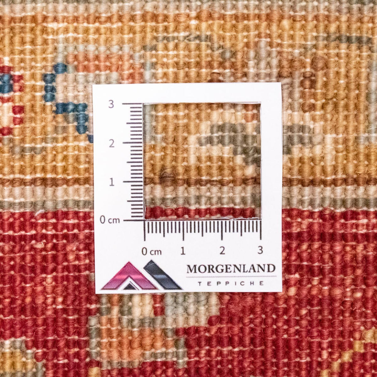 Dywan Zieglera - 240 x 169 cm - beżowy