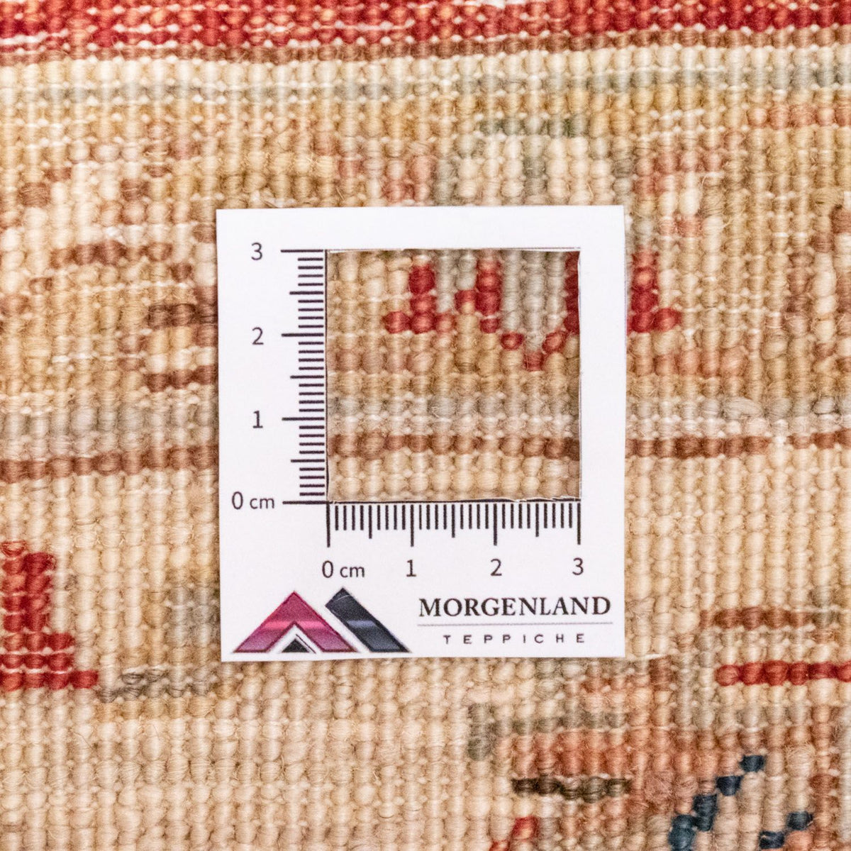 Dywan Zieglera - 237 x 172 cm - czerwony