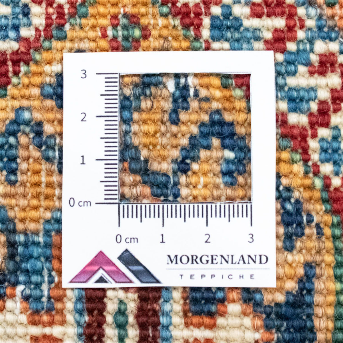 Dywan Zieglera - 237 x 168 cm - wielokolorowy