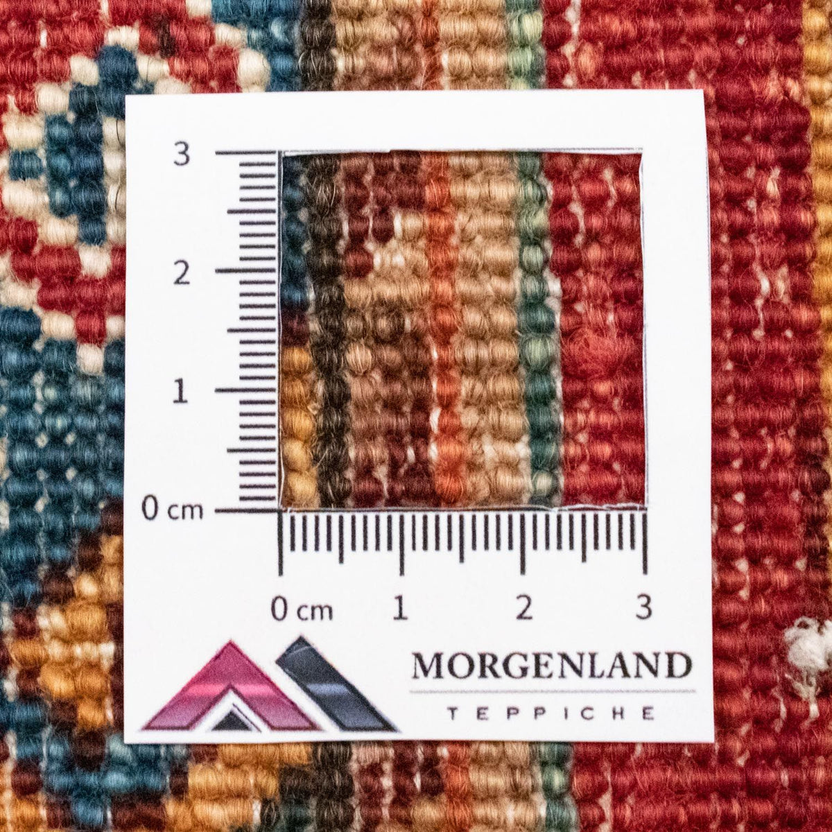 Dywan Zieglera - 243 x 170 cm - wielokolorowy