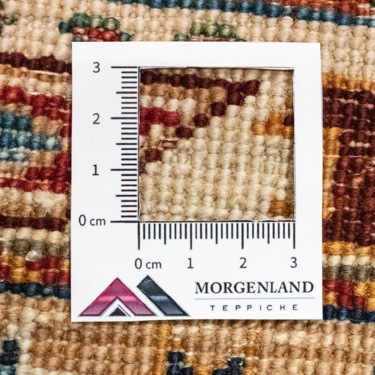 Dywan Zieglera - 263 x 181 cm - wielokolorowy