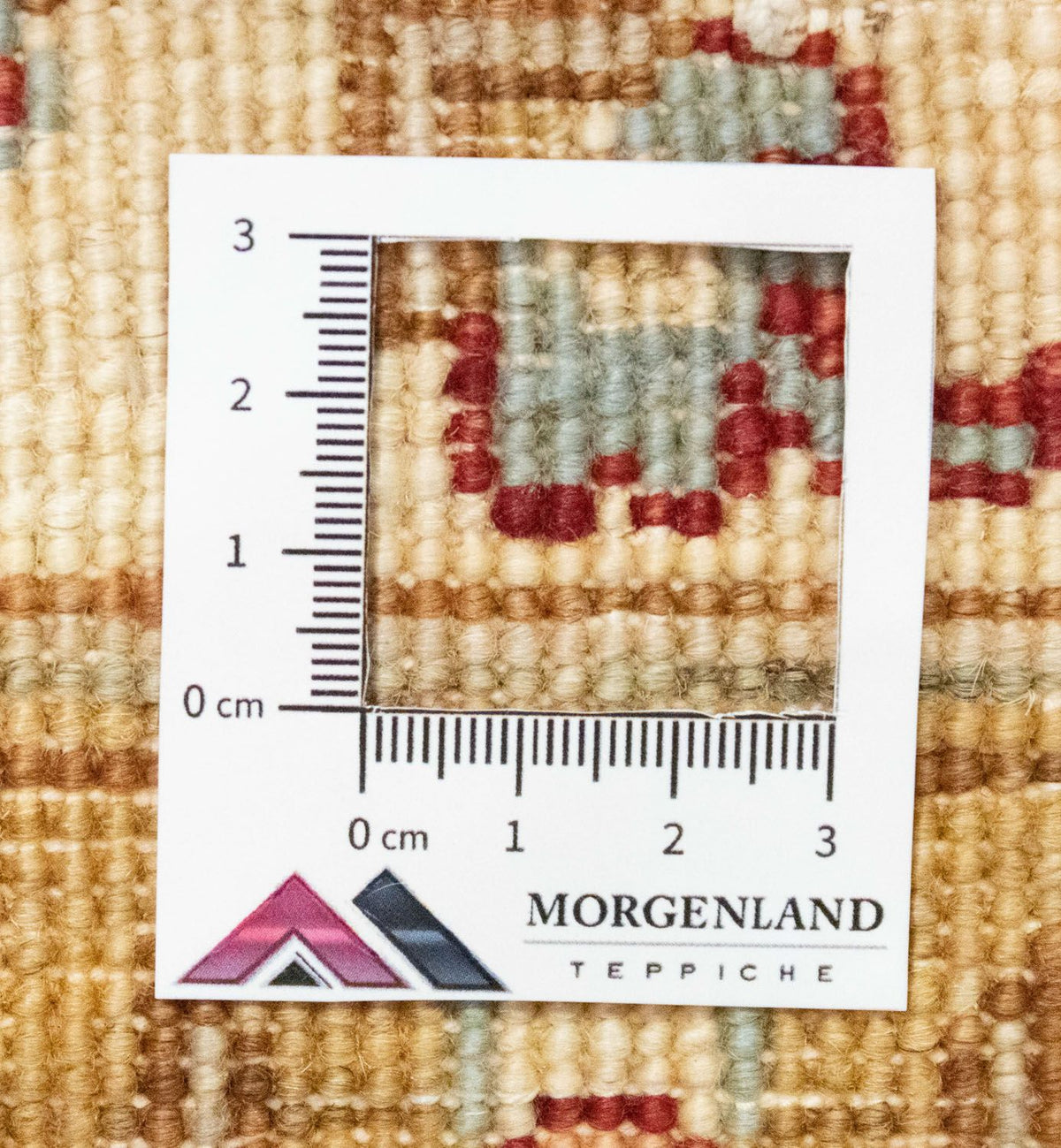 Dywan Zieglera - 207 x 154 cm - czerwony