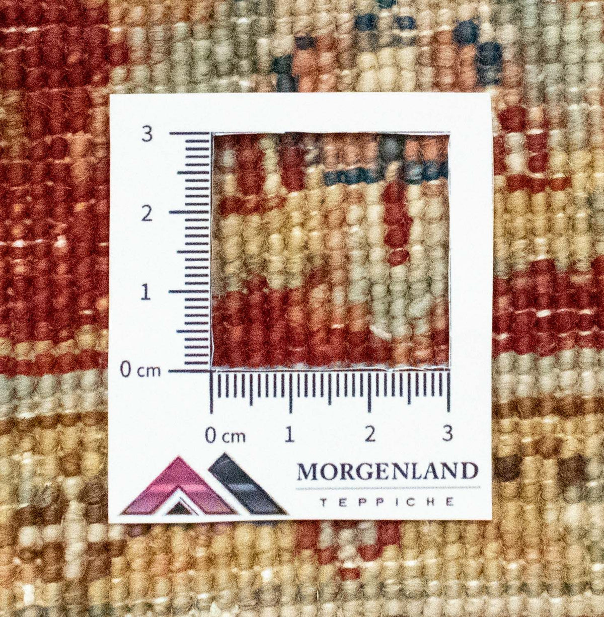 Dywan Zieglera - 161 x 101 cm - beżowy