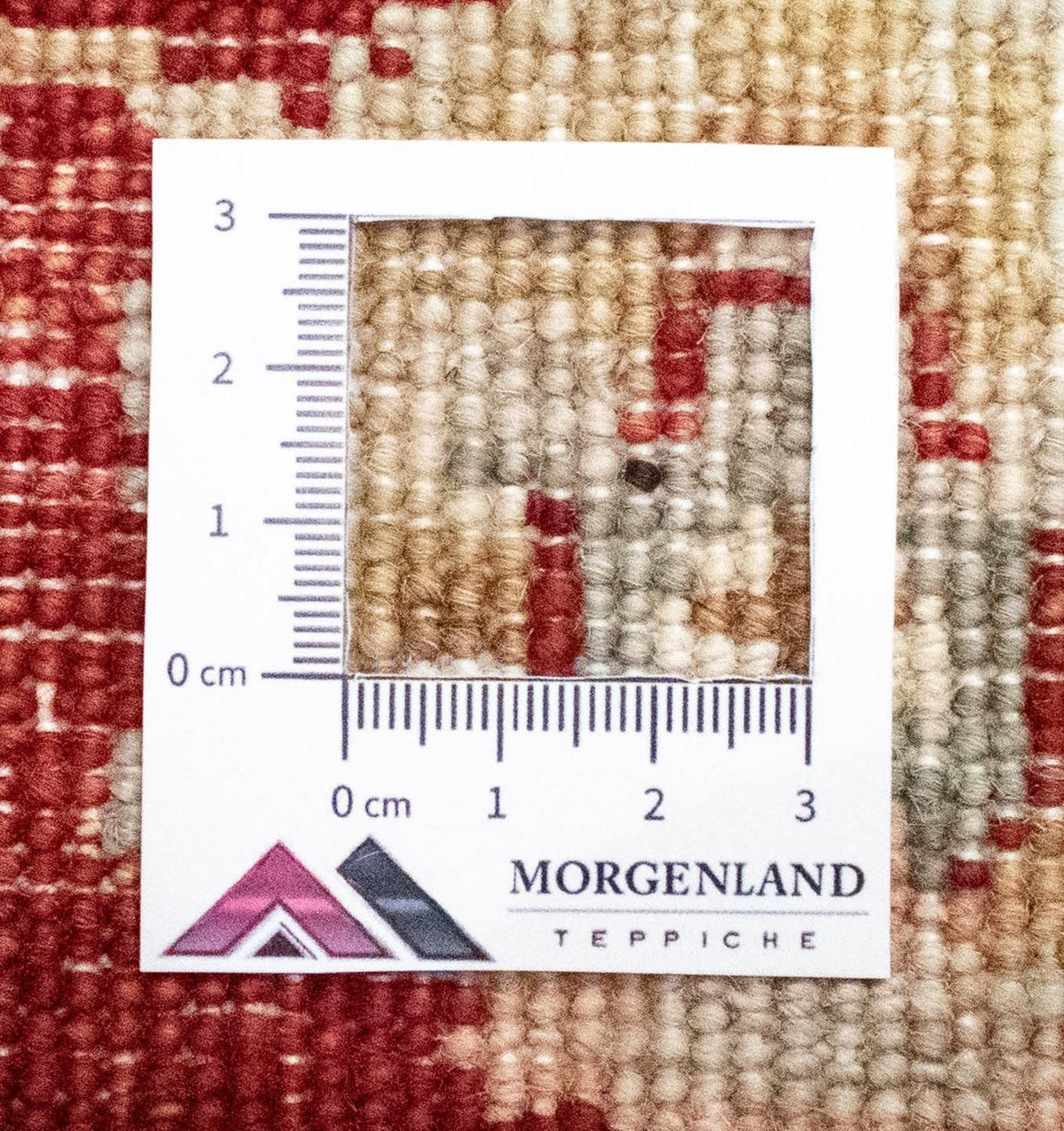 Dywan Zieglera - 122 x 77 cm - beżowy