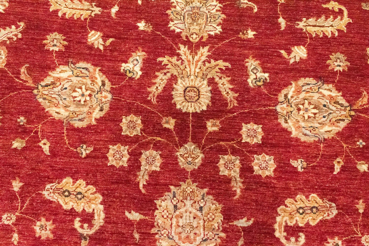 Dywan Zieglera - 296 x 210 cm - czerwony