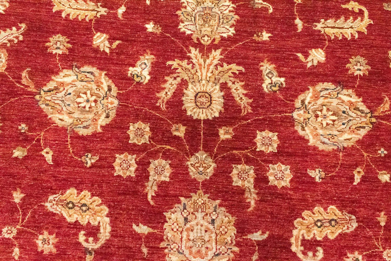 Dywan Zieglera - 296 x 210 cm - czerwony