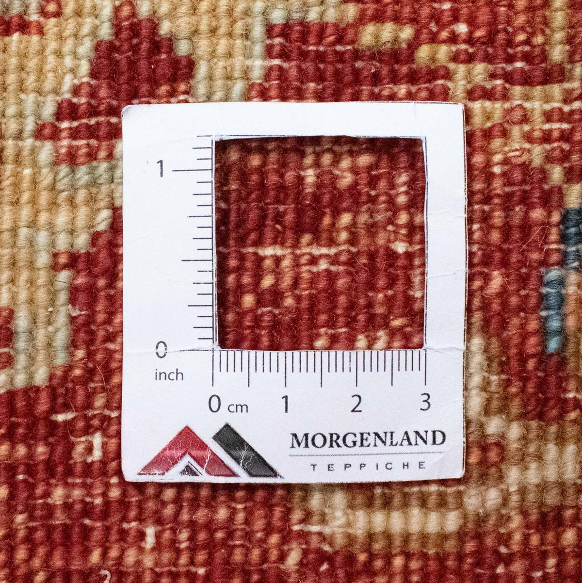 Dywan Zieglera - 292 x 208 cm - beżowy