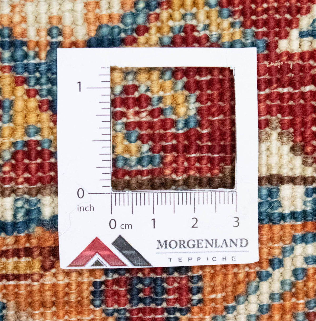 Dywan Zieglera - 309 x 221 cm - wielokolorowy