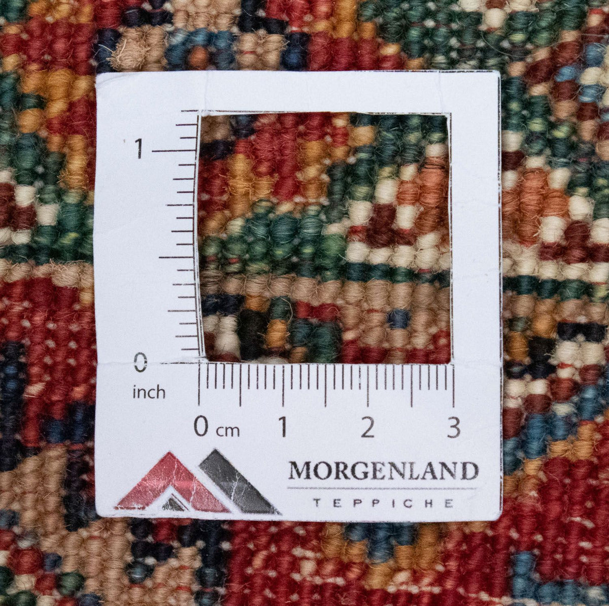 Dywan Zieglera - 294 x 213 cm - wielokolorowy