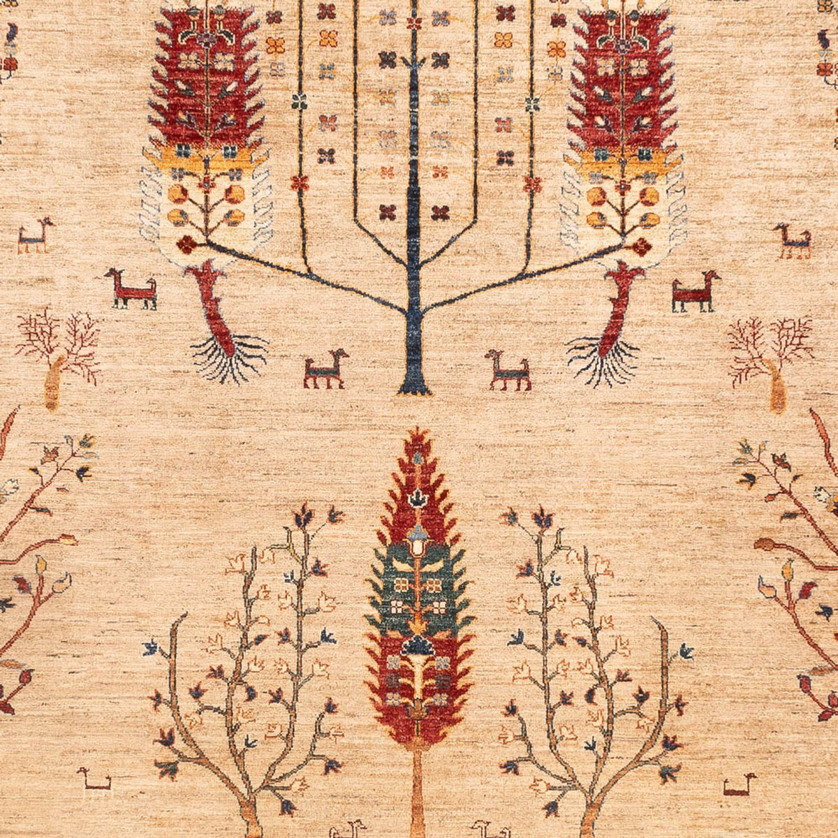 Dywan Ziegler - Ariana - 352 x 241 cm - beżowy