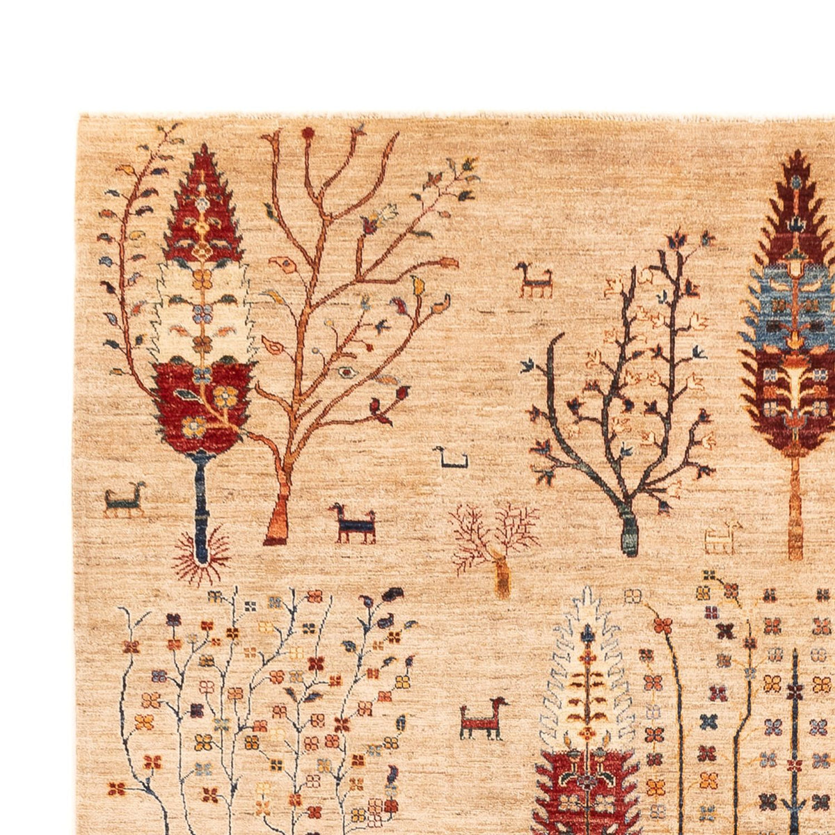 Dywan Ziegler - Ariana - 352 x 241 cm - beżowy