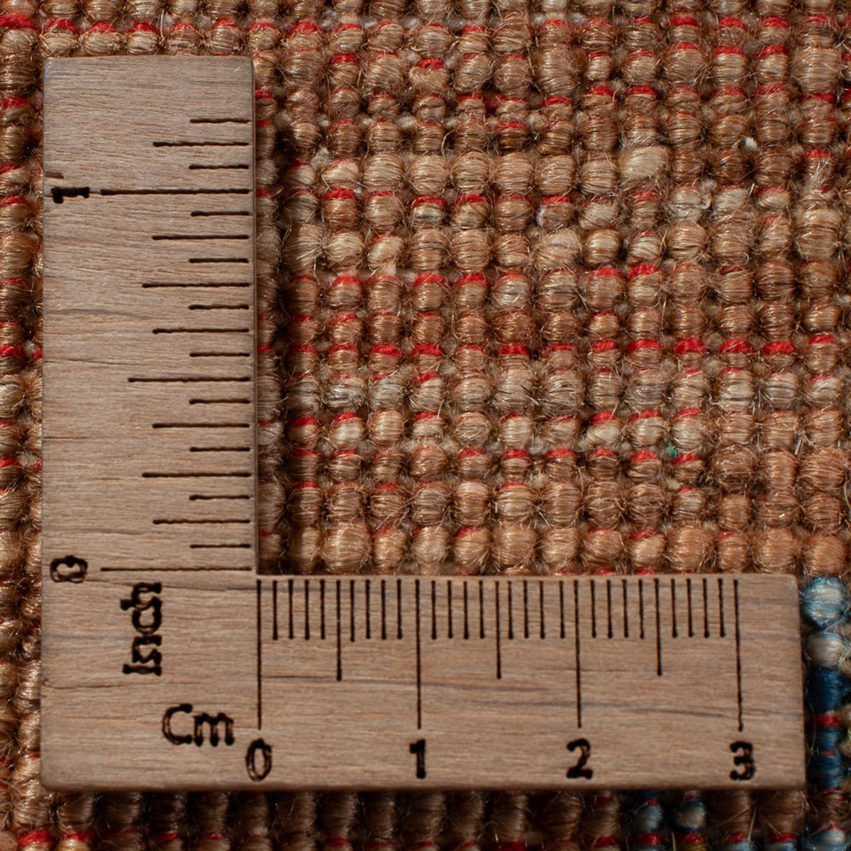 Dywan Ziegler - Ariana - 348 x 244 cm - ciemny beż