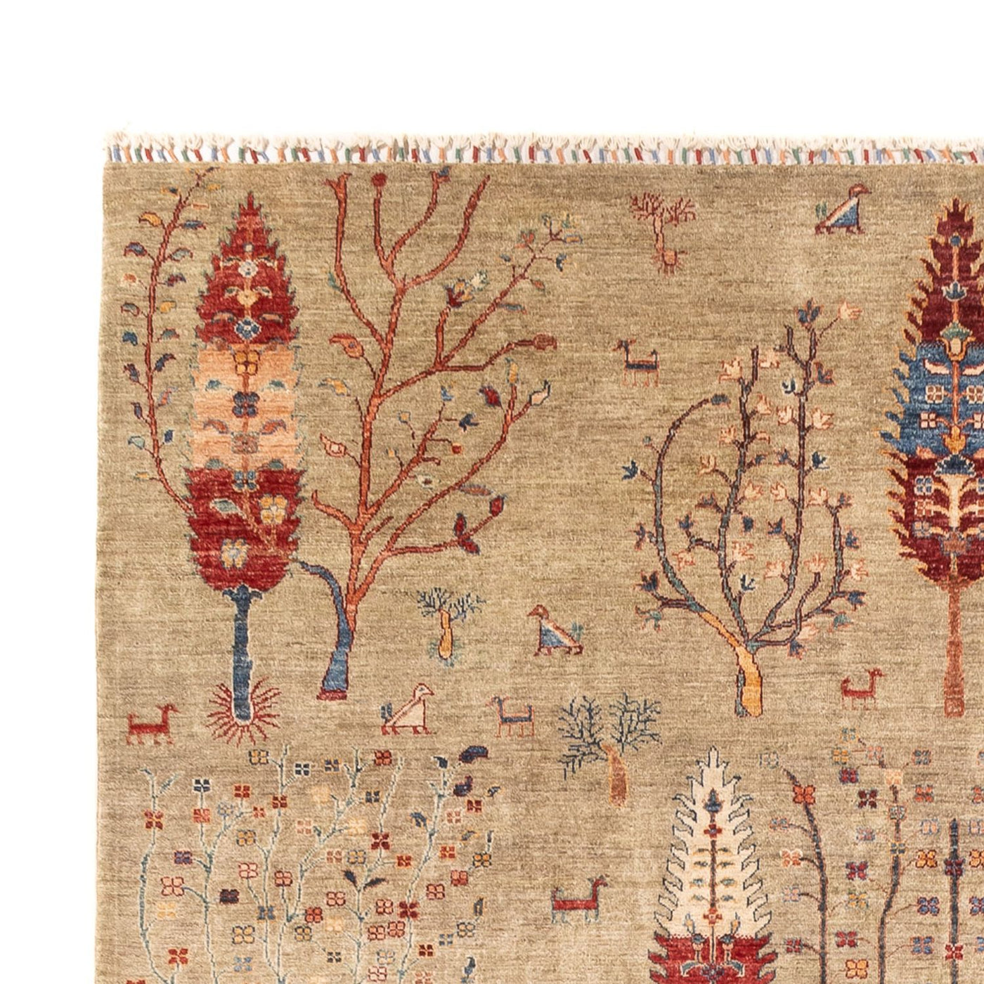 Ariana Dywan 342x246cm - Dywan orientalny