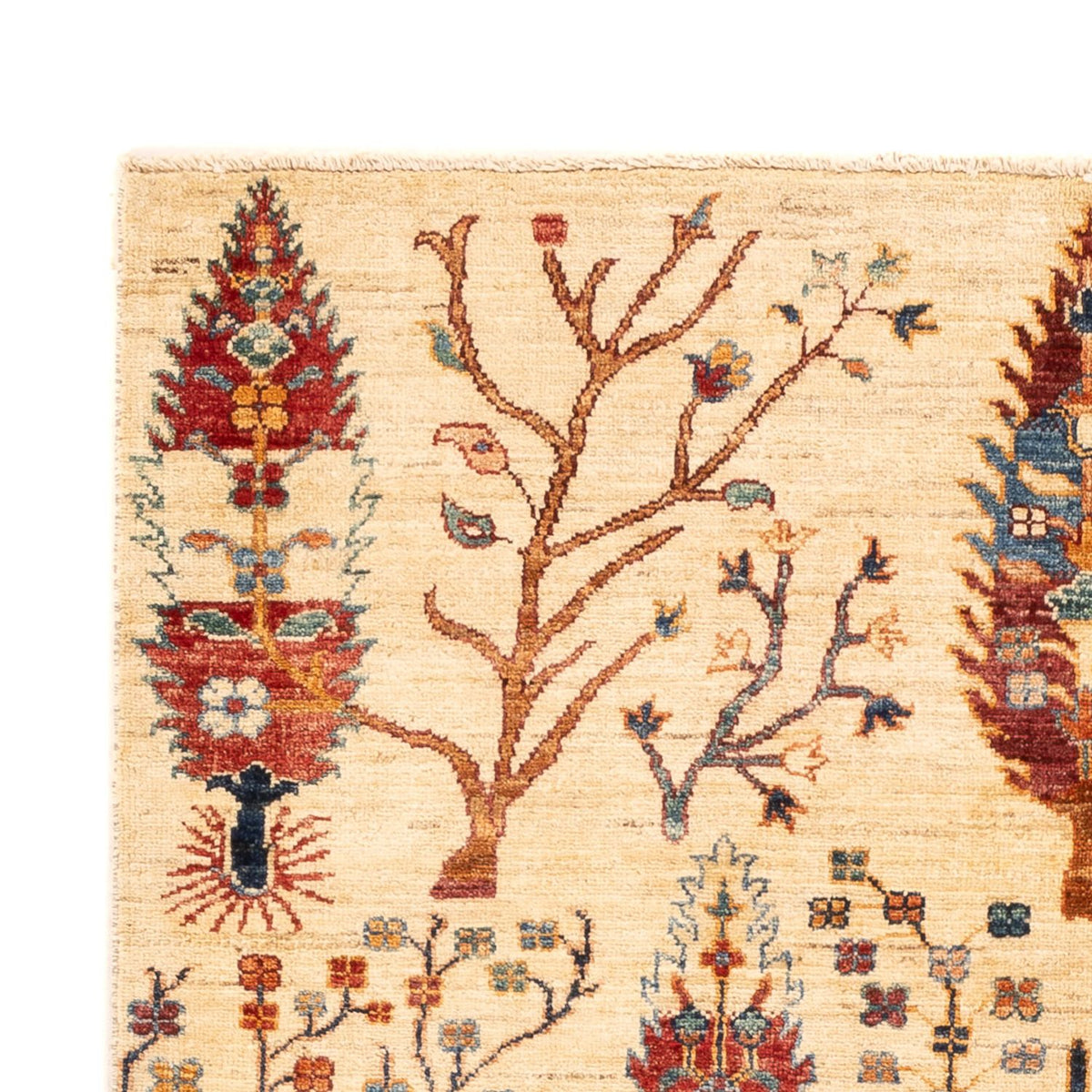 Dywan Ziegler - Ariana - 178 x 125 cm - beżowy