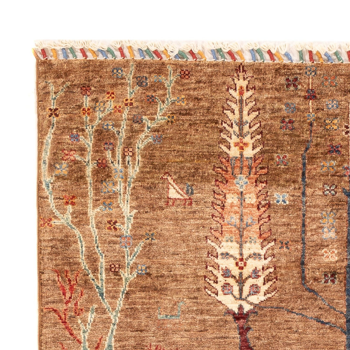 Dywan Ziegler - Ariana - 184 x 119 cm - ciemny beż