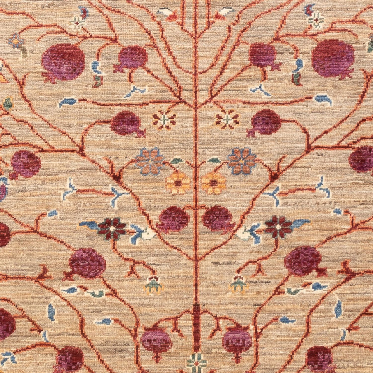 Dywan Ziegler - Ariana - 177 x 122 cm - beżowy