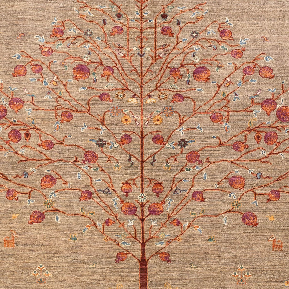 Dywan Ziegler - Ariana - 289 x 206 cm - ciemny beż